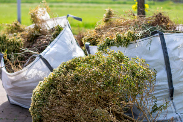 Best Garage Cleanout  in North Utica, IL