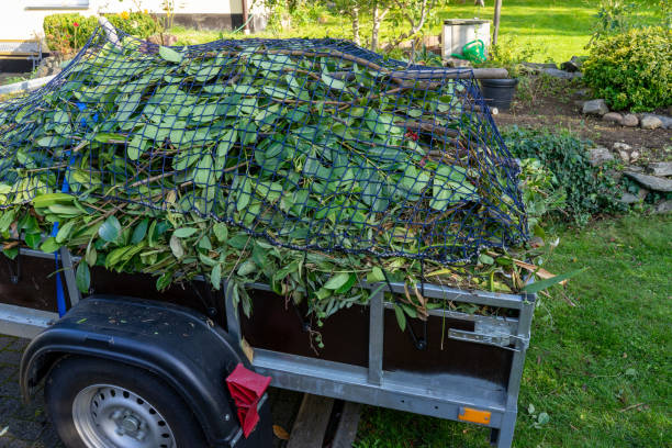 Best Yard Waste Removal  in North Utica, IL
